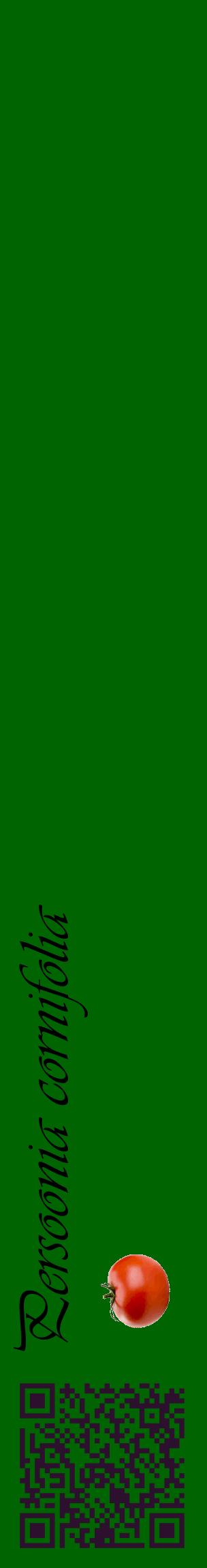 Étiquette de : Persoonia cornifolia - format c - style noire8_basiqueviv avec qrcode et comestibilité simplifiée