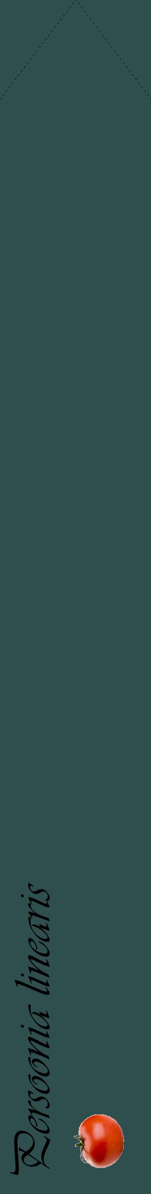 Étiquette de : Persoonia linearis - format c - style noire58_simpleviv avec comestibilité simplifiée