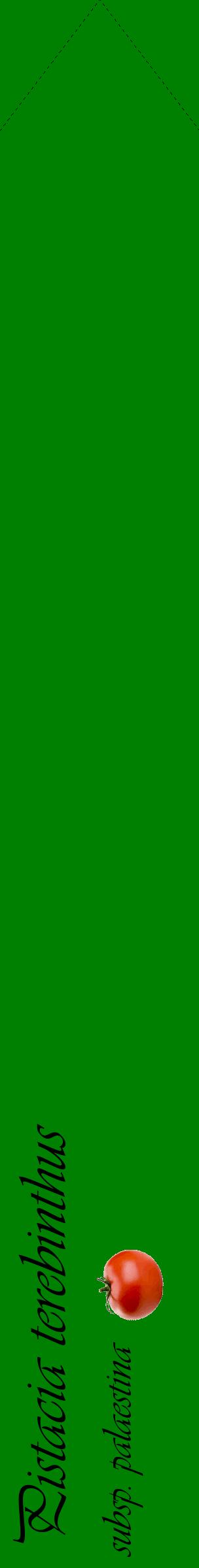Étiquette de : Pistacia terebinthus subsp. palaestina - format c - style noire9_simpleviv avec comestibilité simplifiée