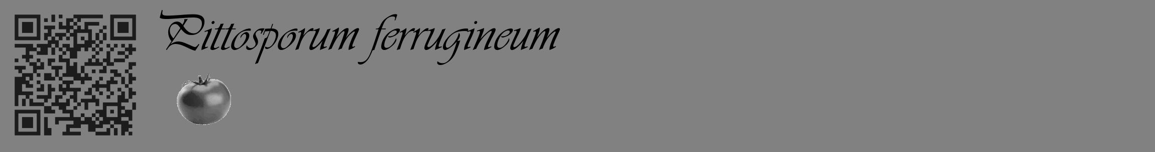 Étiquette de : Pittosporum ferrugineum - format c - style noire50basique_basique_basiqueviv avec qrcode et comestibilité simplifiée