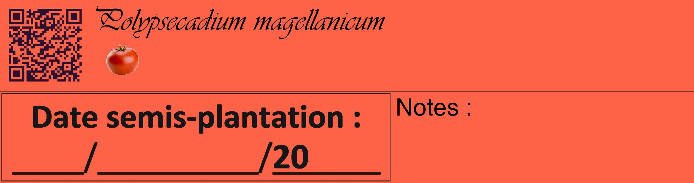 Étiquette de : Polypsecadium magellanicum - format c - style noire25_basique_basiqueviv avec qrcode et comestibilité simplifiée