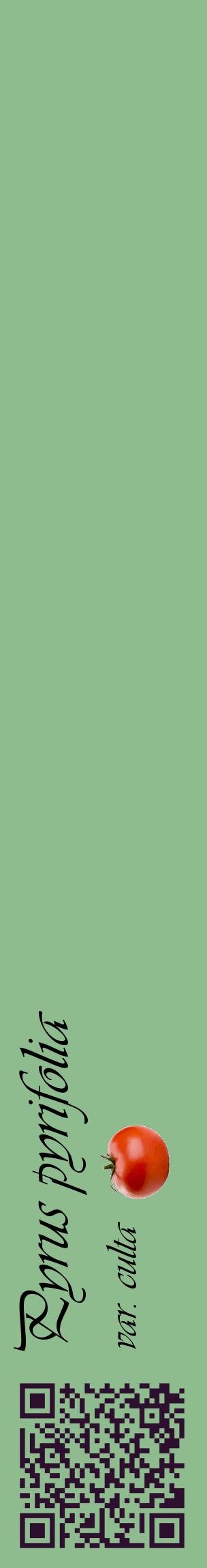 Étiquette de : Pyrus pyrifolia var. culta - format c - style noire13_basique_basiqueviv avec qrcode et comestibilité simplifiée - position verticale