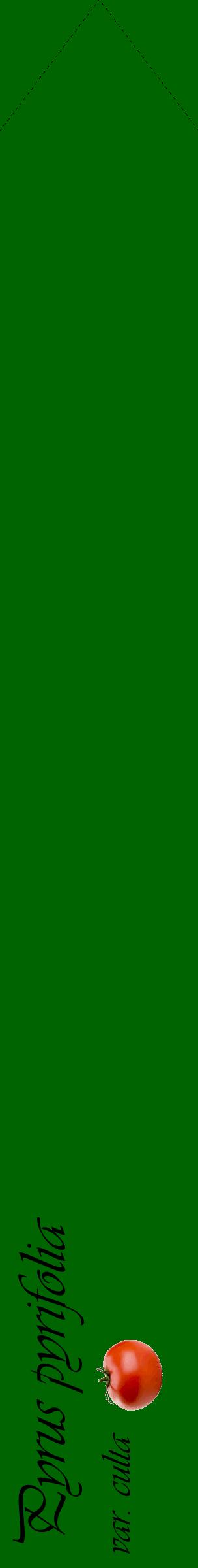 Étiquette de : Pyrus pyrifolia var. culta - format c - style noire8_simpleviv avec comestibilité simplifiée