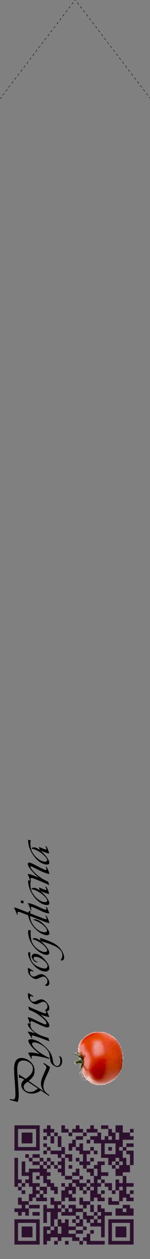 Étiquette de : Pyrus sogdiana - format c - style noire57_simpleviv avec qrcode et comestibilité simplifiée