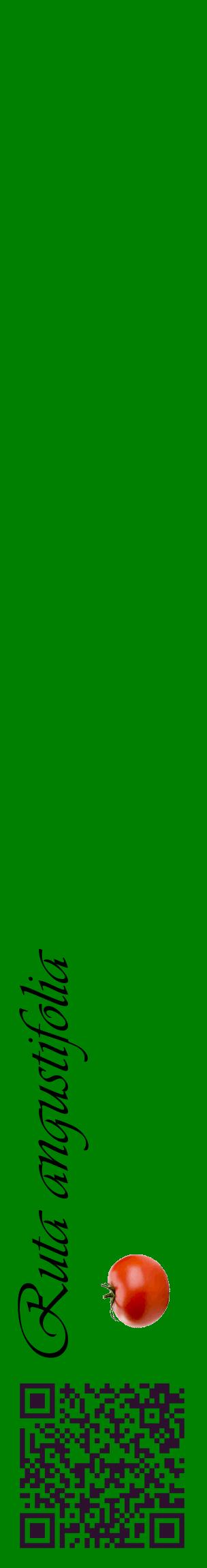 Étiquette de : Ruta angustifolia - format c - style noire9_basiqueviv avec qrcode et comestibilité simplifiée