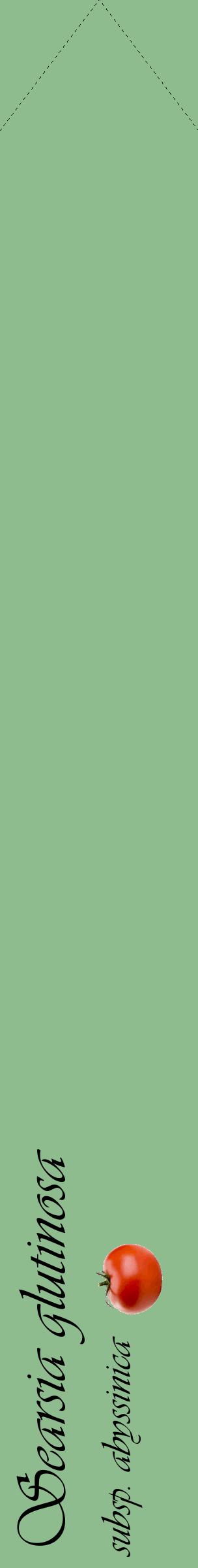 Étiquette de : Searsia glutinosa subsp. abyssinica - format c - style noire13_simpleviv avec comestibilité simplifiée