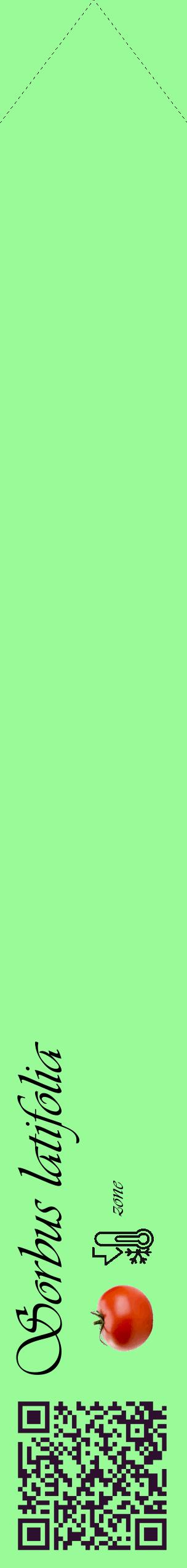 Étiquette de : Sorbus latifolia - format c - style noire14_simple_simpleviv avec qrcode et comestibilité simplifiée - position verticale