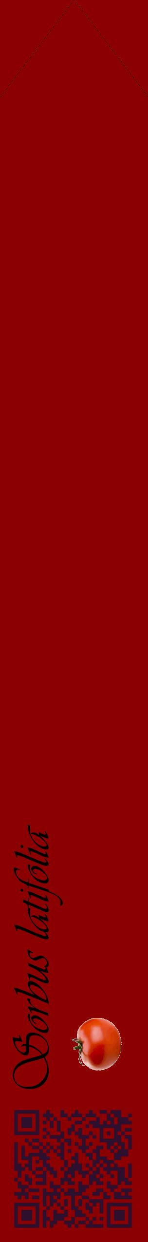 Étiquette de : Sorbus latifolia - format c - style noire34_simpleviv avec qrcode et comestibilité simplifiée