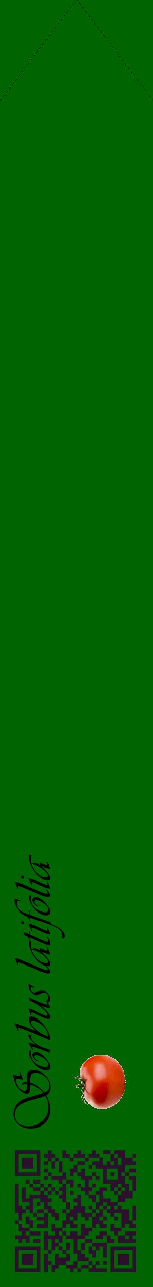 Étiquette de : Sorbus latifolia - format c - style noire8_simpleviv avec qrcode et comestibilité simplifiée