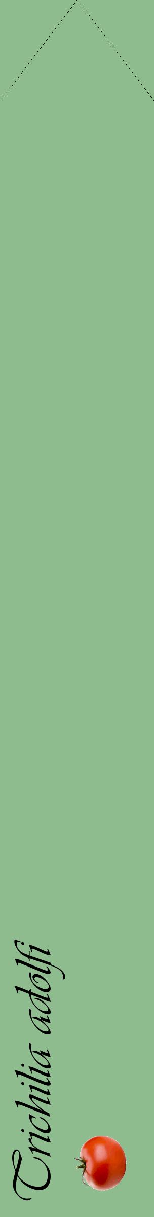Étiquette de : Trichilia adolfi - format c - style noire13_simpleviv avec comestibilité simplifiée