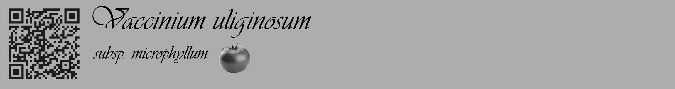 Étiquette de : Vaccinium uliginosum subsp. microphyllum - format c - style noire22_basique_basiqueviv avec qrcode et comestibilité simplifiée
