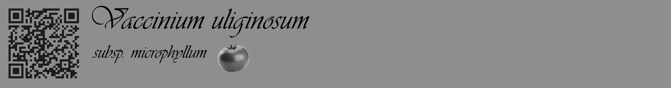 Étiquette de : Vaccinium uliginosum subsp. microphyllum - format c - style noire25_basique_basiqueviv avec qrcode et comestibilité simplifiée