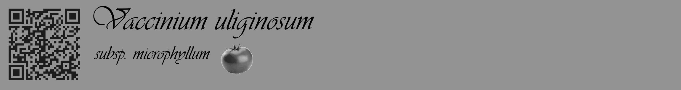 Étiquette de : Vaccinium uliginosum subsp. microphyllum - format c - style noire44_basique_basiqueviv avec qrcode et comestibilité simplifiée