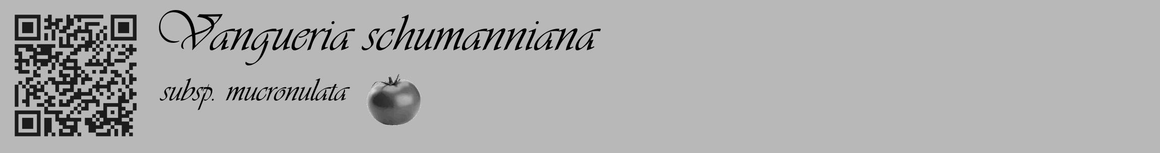 Étiquette de : Vangueria schumanniana subsp. mucronulata - format c - style noire39_basique_basiqueviv avec qrcode et comestibilité simplifiée