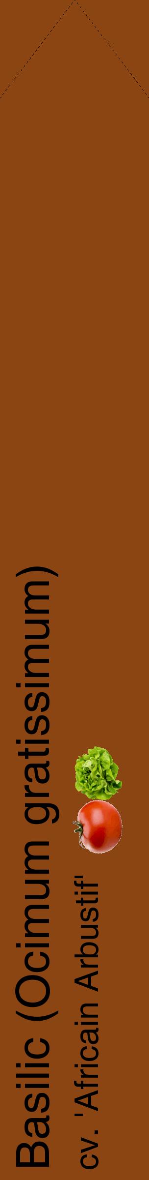 Étiquette de : Ocimum gratissimum cv. 'Africain Arbustif' - format c - style noire30_simplehel avec comestibilité simplifiée