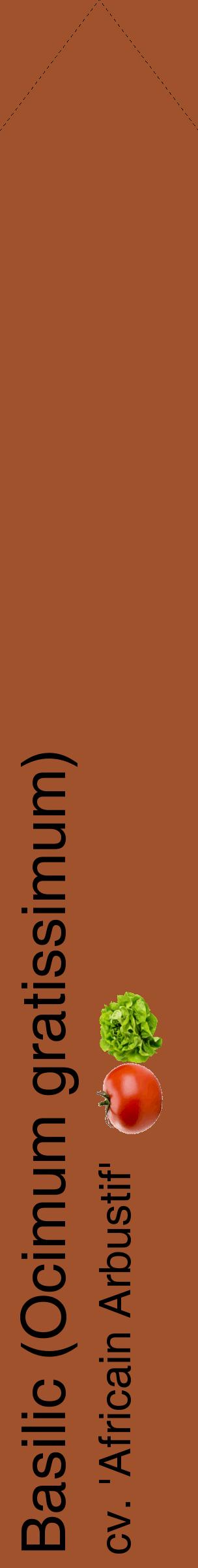 Étiquette de : Ocimum gratissimum cv. 'Africain Arbustif' - format c - style noire32_simplehel avec comestibilité simplifiée