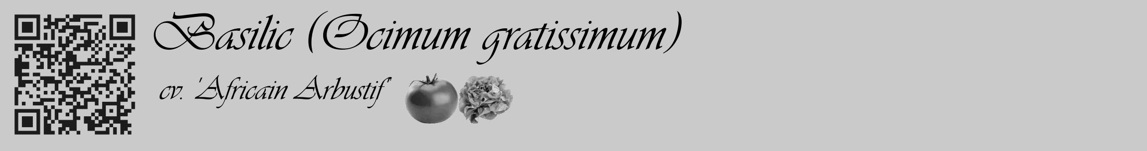 Étiquette de : Ocimum gratissimum cv. 'Africain Arbustif' - format c - style noire21_basique_basiqueviv avec qrcode et comestibilité simplifiée