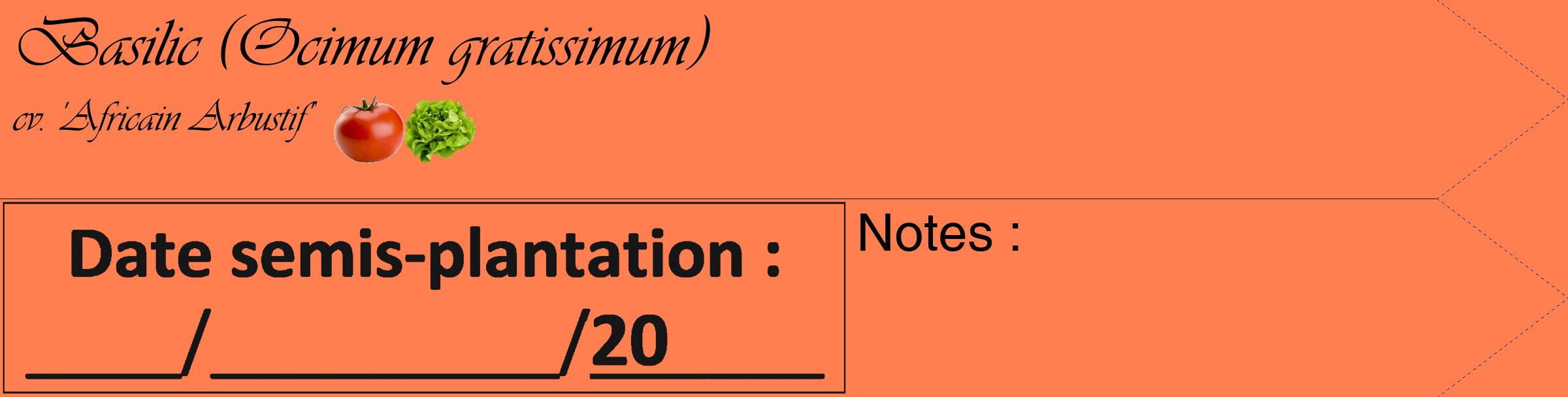 Étiquette de : Ocimum gratissimum cv. 'Africain Arbustif' - format c - style noire24_simple_simpleviv avec comestibilité simplifiée