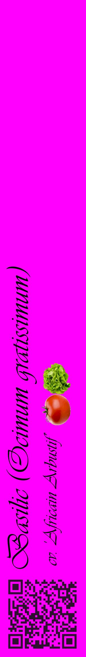 Étiquette de : Ocimum gratissimum cv. 'Africain Arbustif' - format c - style noire51_basiqueviv avec qrcode et comestibilité simplifiée