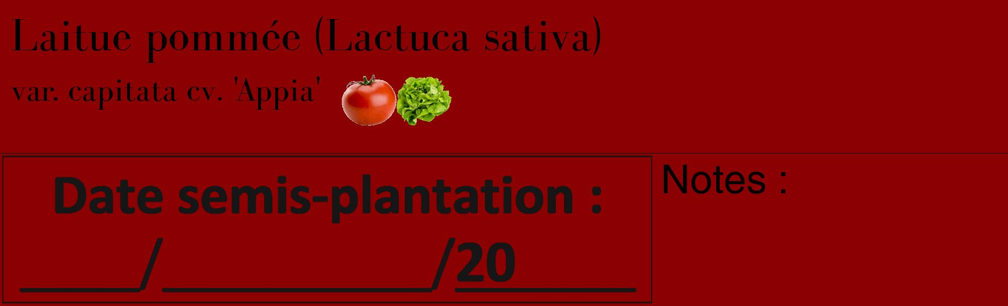 Étiquette de : Lactuca sativa var. capitata cv. 'Appia' - format c - style noire34_basique_basiquebod avec comestibilité simplifiée