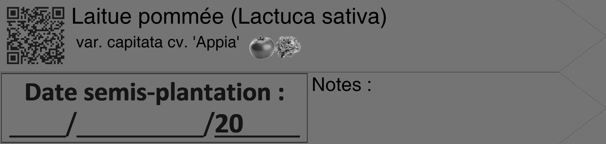Étiquette de : Lactuca sativa var. capitata cv. 'Appia' - format c - style noire26_simple_simplehel avec qrcode et comestibilité simplifiée