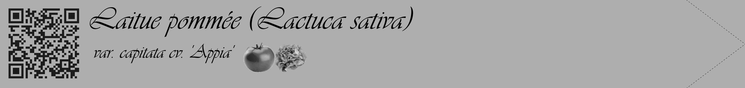 Étiquette de : Lactuca sativa var. capitata cv. 'Appia' - format c - style noire53_simple_simpleviv avec qrcode et comestibilité simplifiée