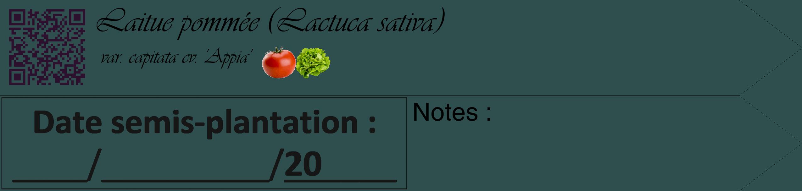 Étiquette de : Lactuca sativa var. capitata cv. 'Appia' - format c - style noire58_simple_simpleviv avec qrcode et comestibilité simplifiée