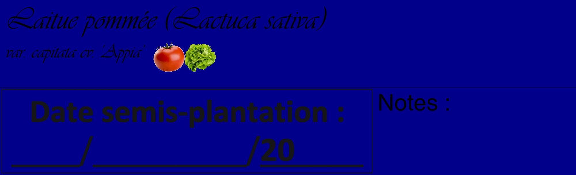 Étiquette de : Lactuca sativa var. capitata cv. 'Appia' - format c - style noire7_basique_basiqueviv avec comestibilité simplifiée