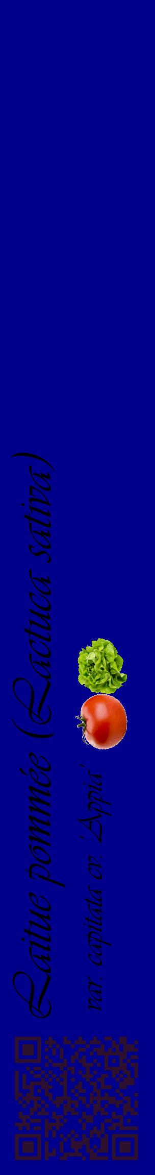 Étiquette de : Lactuca sativa var. capitata cv. 'Appia' - format c - style noire7_basiqueviv avec qrcode et comestibilité simplifiée