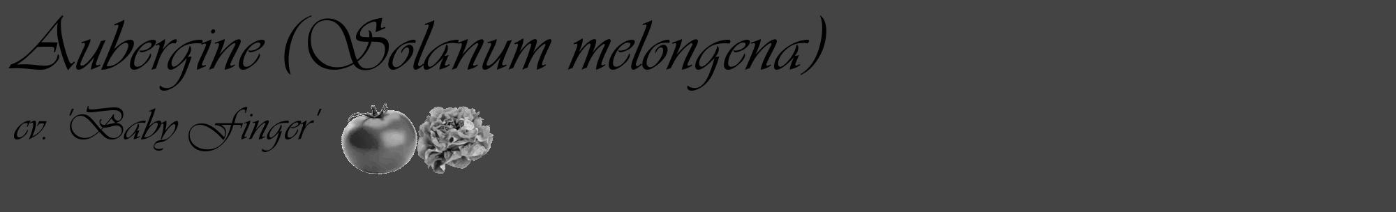 Étiquette de : Solanum melongena cv. 'Baby Finger' - format c - style noire48_basique_basiqueviv avec comestibilité simplifiée
