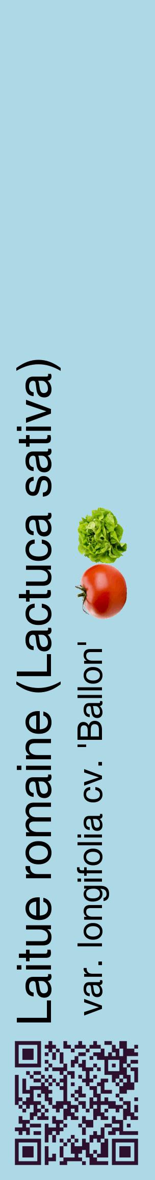 Étiquette de : Lactuca sativa var. longifolia cv. 'Ballon' - format c - style noire0_basiquehel avec qrcode et comestibilité simplifiée
