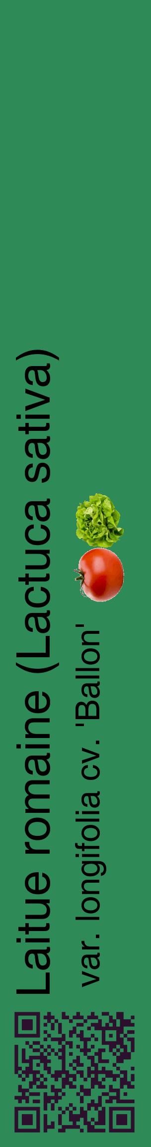 Étiquette de : Lactuca sativa var. longifolia cv. 'Ballon' - format c - style noire11_basiquehel avec qrcode et comestibilité simplifiée