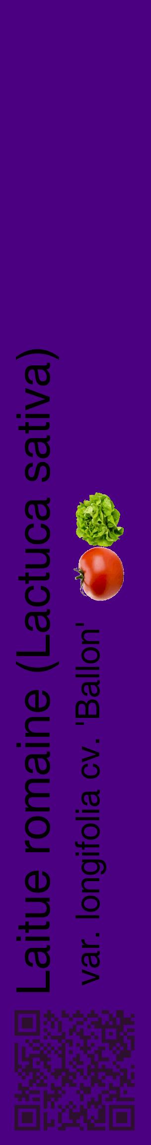 Étiquette de : Lactuca sativa var. longifolia cv. 'Ballon' - format c - style noire47_basiquehel avec qrcode et comestibilité simplifiée