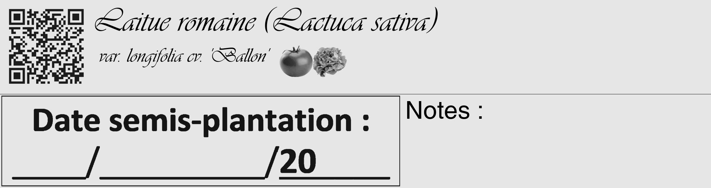 Étiquette de : Lactuca sativa var. longifolia cv. 'Ballon' - format c - style noire18_basique_basiqueviv avec qrcode et comestibilité simplifiée