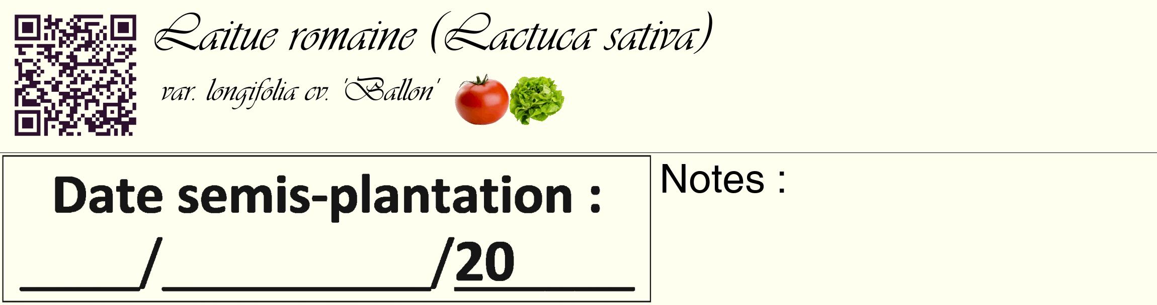 Étiquette de : Lactuca sativa var. longifolia cv. 'Ballon' - format c - style noire19_basique_basiqueviv avec qrcode et comestibilité simplifiée