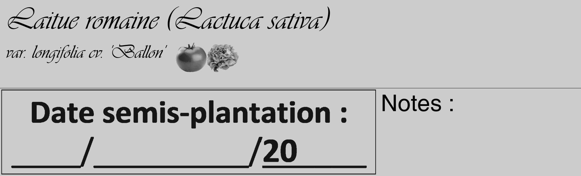 Étiquette de : Lactuca sativa var. longifolia cv. 'Ballon' - format c - style noire0_basique_basiqueviv avec comestibilité simplifiée