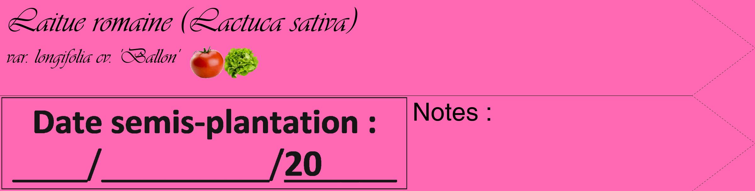Étiquette de : Lactuca sativa var. longifolia cv. 'Ballon' - format c - style noire42_simple_simpleviv avec comestibilité simplifiée