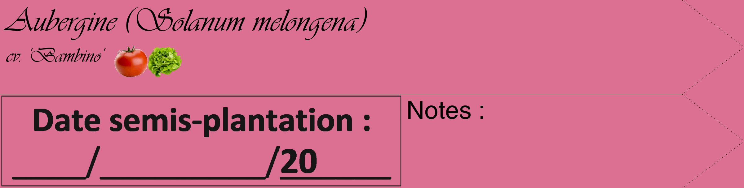 Étiquette de : Solanum melongena cv. 'Bambino' - format c - style noire44_simple_simpleviv avec comestibilité simplifiée
