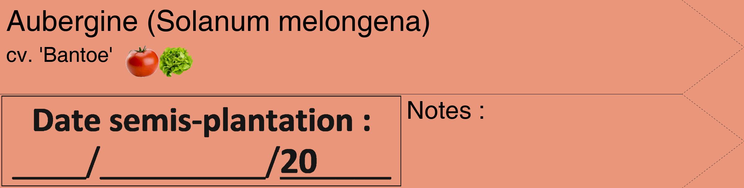 Étiquette de : Solanum melongena cv. 'Bantoe' - format c - style noire37simple_simple_simplehel avec comestibilité simplifiée
