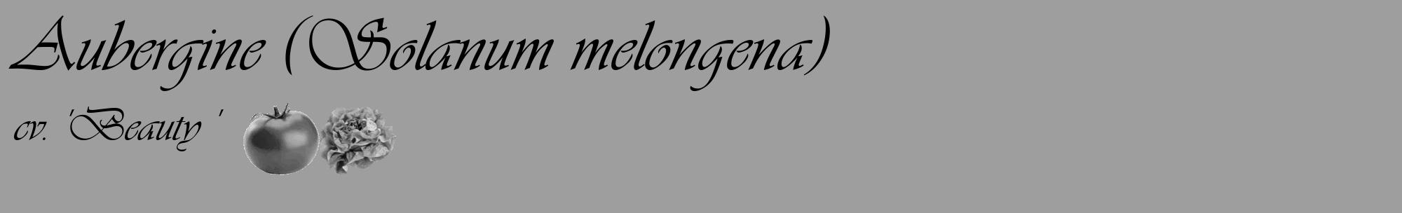 Étiquette de : Solanum melongena cv. 'Beauty ' - format c - style noire23_basique_basiqueviv avec comestibilité simplifiée
