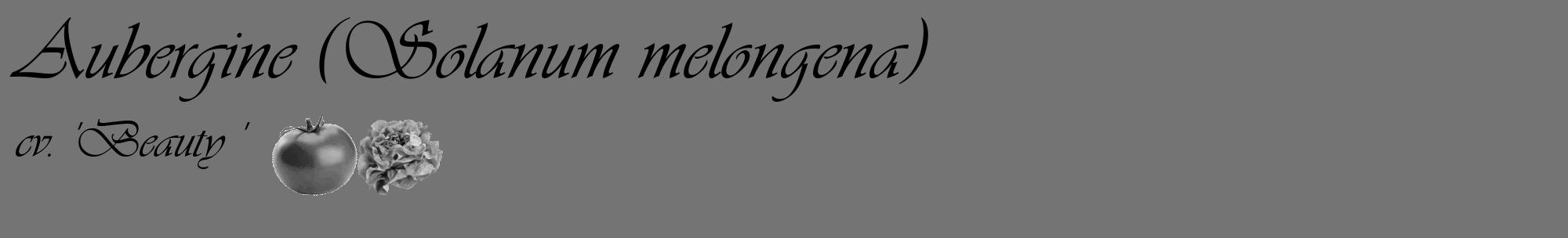 Étiquette de : Solanum melongena cv. 'Beauty ' - format c - style noire26_basique_basiqueviv avec comestibilité simplifiée
