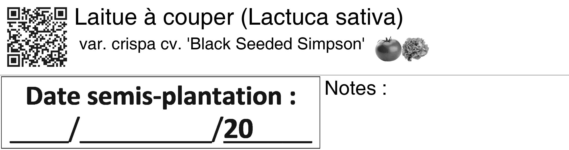 Étiquette de : Lactuca sativa var. crispa cv. 'Black Seeded Simpson' - format c - style noire60_basiquegrrvhel avec qrcode et comestibilité simplifiée