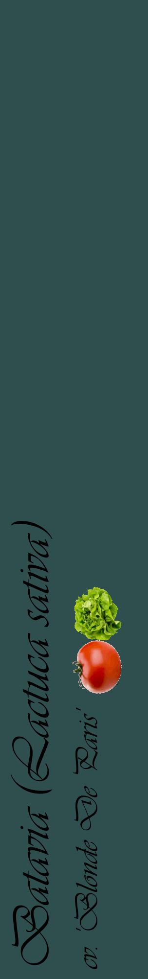 Étiquette de : Lactuca sativa cv. 'Blonde De Paris' - format c - style noire58_basiqueviv avec comestibilité simplifiée
