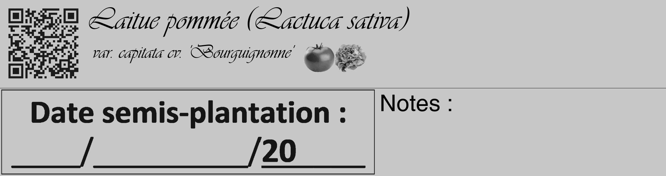 Étiquette de : Lactuca sativa var. capitata cv. 'Bourguignonne' - format c - style noire15_basique_basiqueviv avec qrcode et comestibilité simplifiée