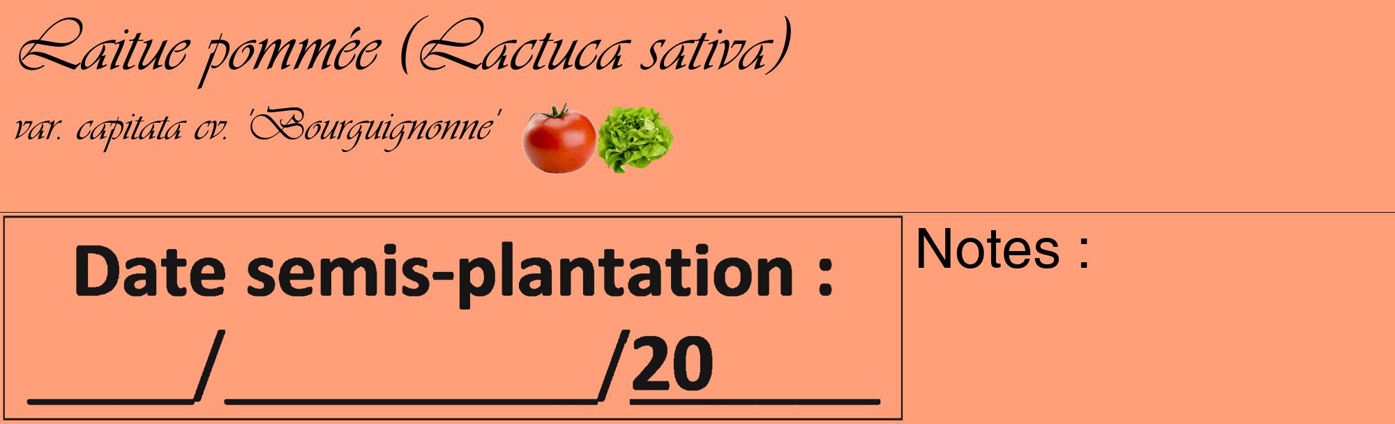 Étiquette de : Lactuca sativa var. capitata cv. 'Bourguignonne' - format c - style noire39_basique_basiqueviv avec comestibilité simplifiée