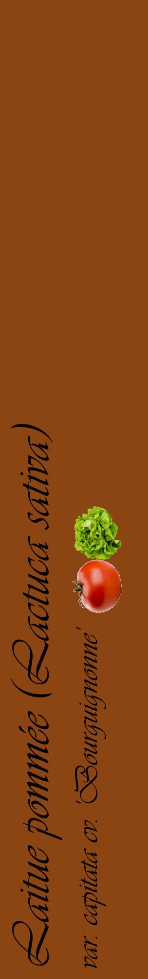 Étiquette de : Lactuca sativa var. capitata cv. 'Bourguignonne' - format c - style noire30_basiqueviv avec comestibilité simplifiée
