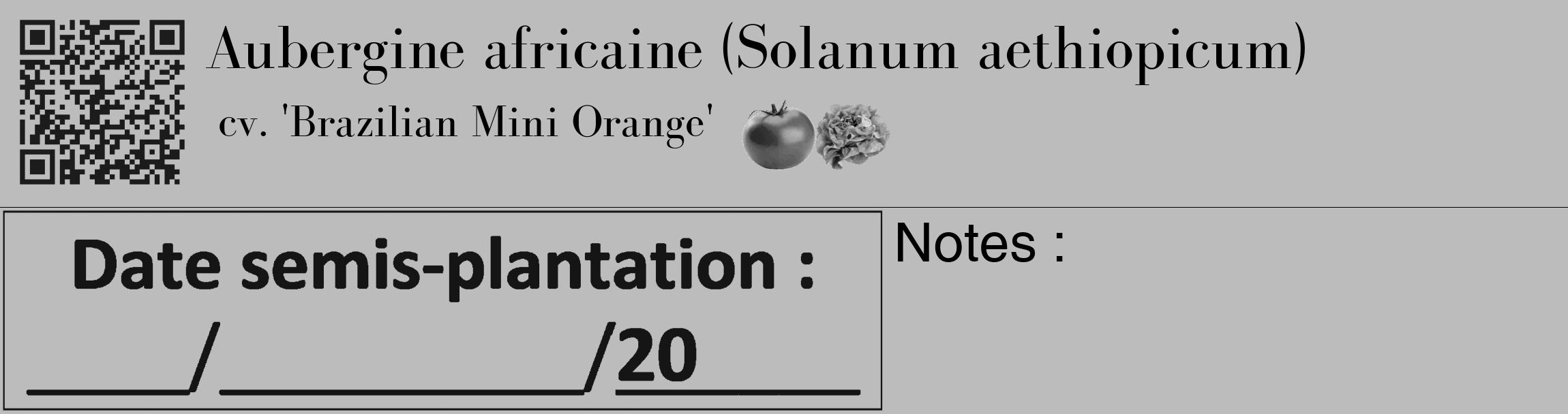 Étiquette de : Solanum aethiopicum cv. 'Brazilian Mini Orange' - format c - style noire1_basique_basiquebod avec qrcode et comestibilité simplifiée