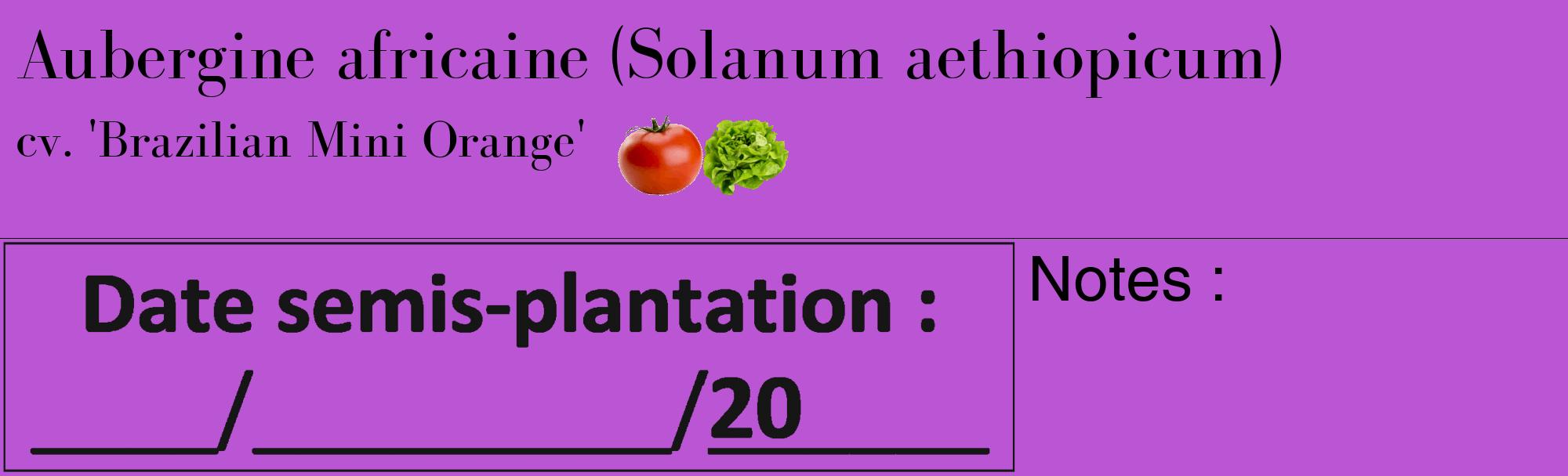 Étiquette de : Solanum aethiopicum cv. 'Brazilian Mini Orange' - format c - style noire50_basique_basiquebod avec comestibilité simplifiée
