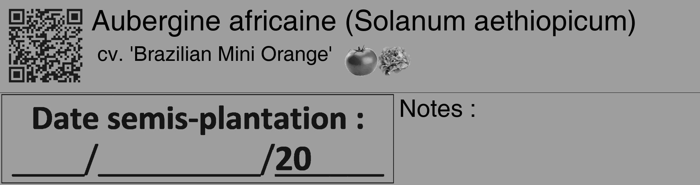 Étiquette de : Solanum aethiopicum cv. 'Brazilian Mini Orange' - format c - style noire23_basique_basiquehel avec qrcode et comestibilité simplifiée