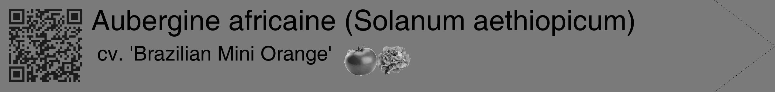 Étiquette de : Solanum aethiopicum cv. 'Brazilian Mini Orange' - format c - style noire3_simple_simplehel avec qrcode et comestibilité simplifiée